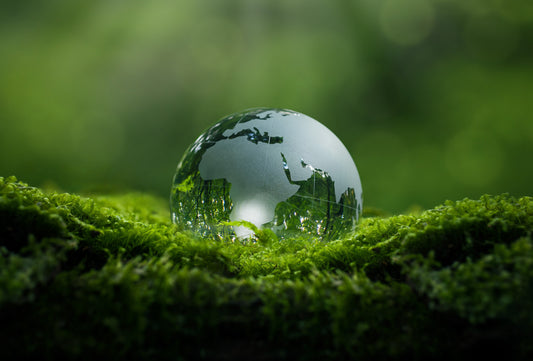 What Is Sustainably Sourced?