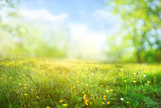 Lily Green Supplements - Breathe Easy This Summer with Quercetin & Bromelain