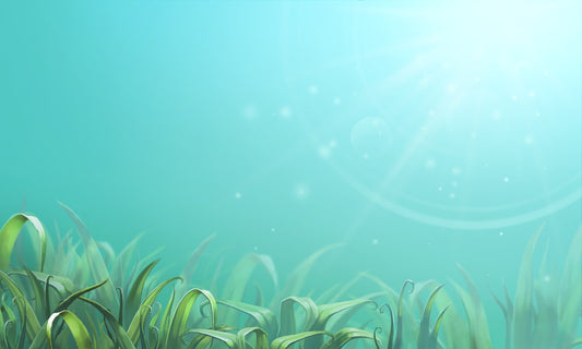 Lily Green Supplements - The Secret to Radiant Skin and Stronger Joints? Marine Collagen