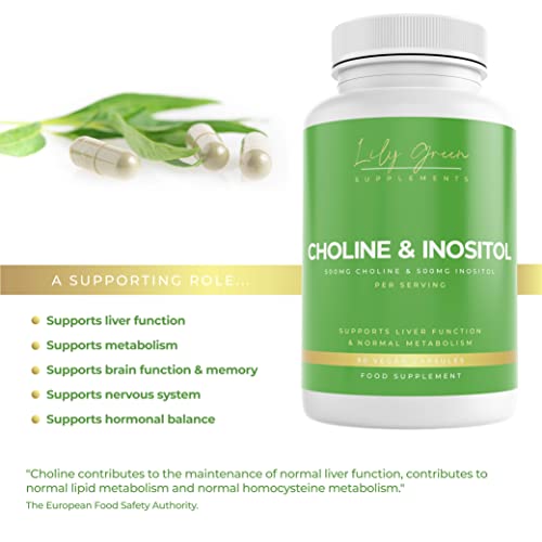 Choline 500mg & Inositol 500mg per Serving - Supports Normal Liver Function, Metabolism, Brain Function & Memory, Nervous System & Hormonal Balance - Lily Green Supplements